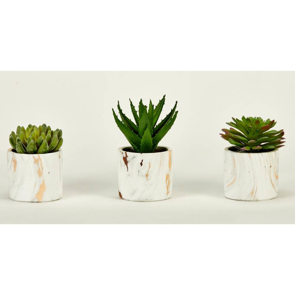 5 in Artificial Succulent on 4 in Faux Marble Cement Pot, Set of 3