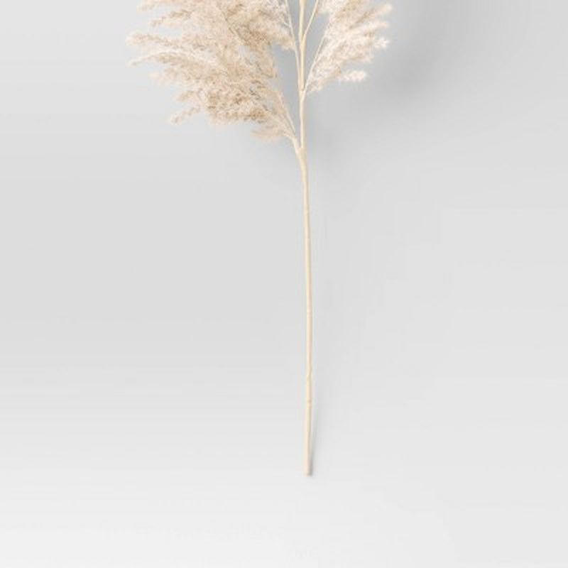 Pampas Grass Reed Stem Arrangement Beige ™