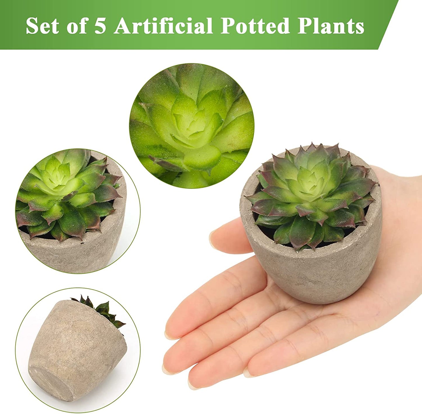 Artificial Succulent Plants Potted, Assorted Decorative Faux Succulent Potted Fake Cactus Cacti Plants with Pots, Set of 5