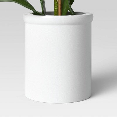 Small Potted Orchid ™