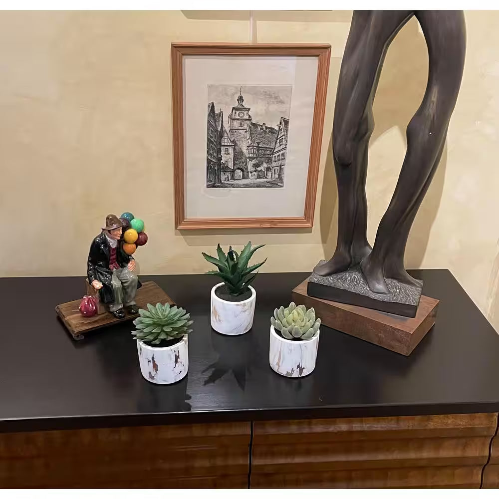 5 in Artificial Succulent on 4 in Faux Marble Cement Pot, Set of 3