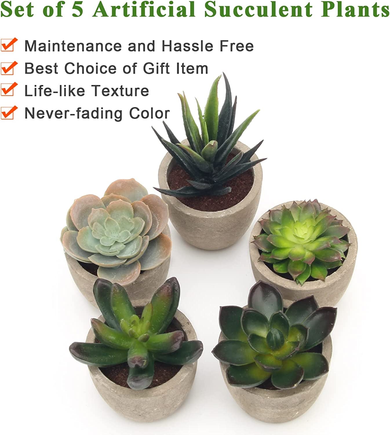 Artificial Succulent Plants Potted, Assorted Decorative Faux Succulent Potted Fake Cactus Cacti Plants with Pots, Set of 5