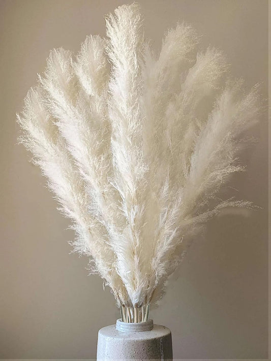 7Pcs 40'' White Natural Dried Pampas Grass - Elegant Fluffy Pampas Grass for Floor Vase - White Pampas Grass Decor Tall - Boho Wedding Decor - Boho Home Decor Dried Flowers