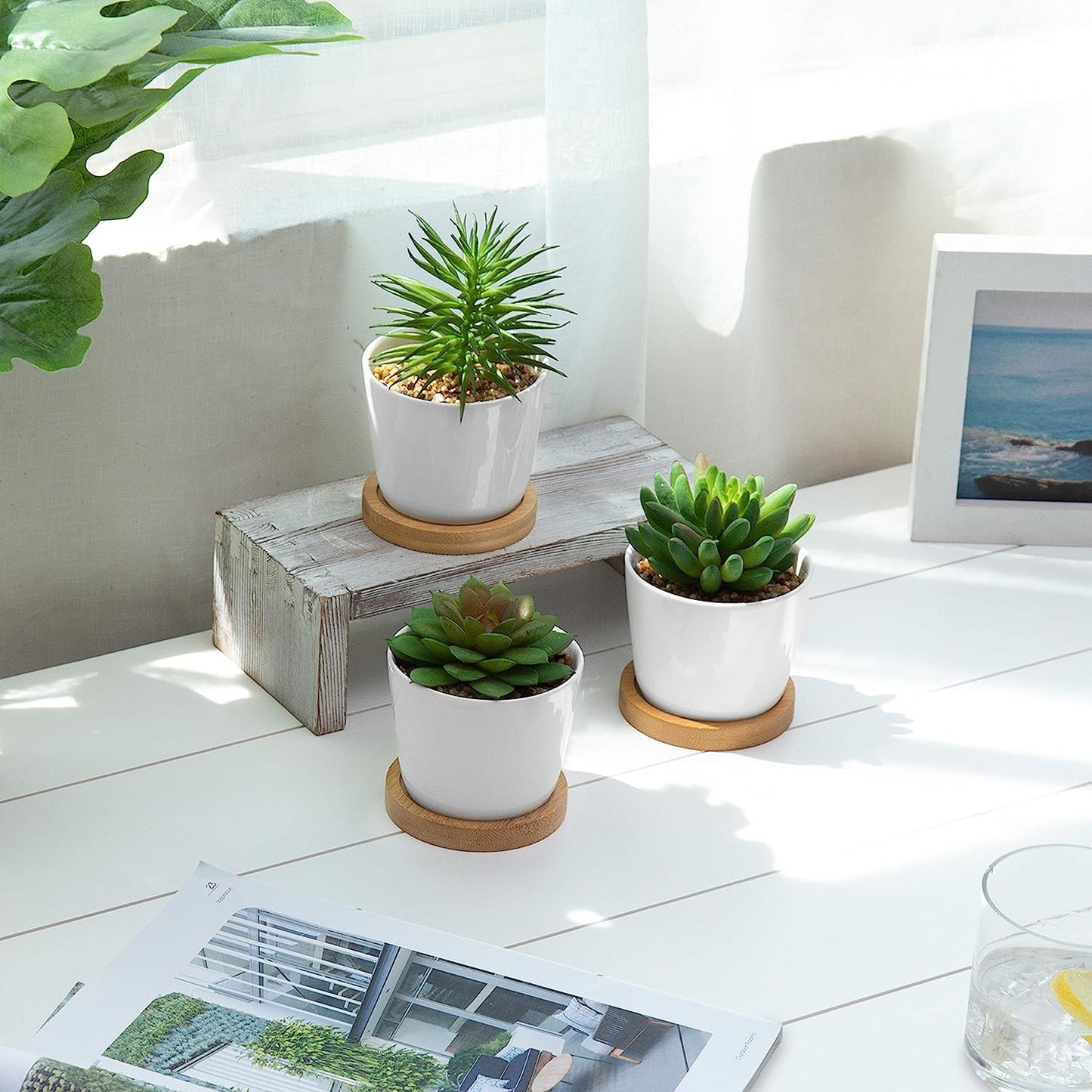 Assorted Artificial Succulent Plants - Decorative Fake Desert Plants with Pebble Fillers in White Ceramic Pots with Bamboo Saucers, Set of 3