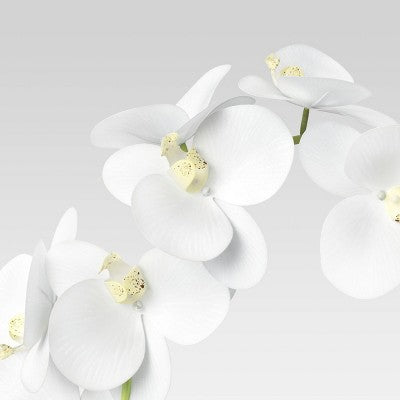 Small Potted Orchid ™