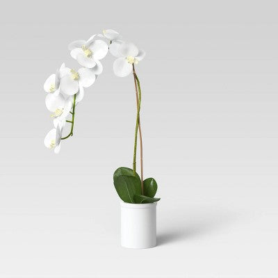 Small Potted Orchid ™