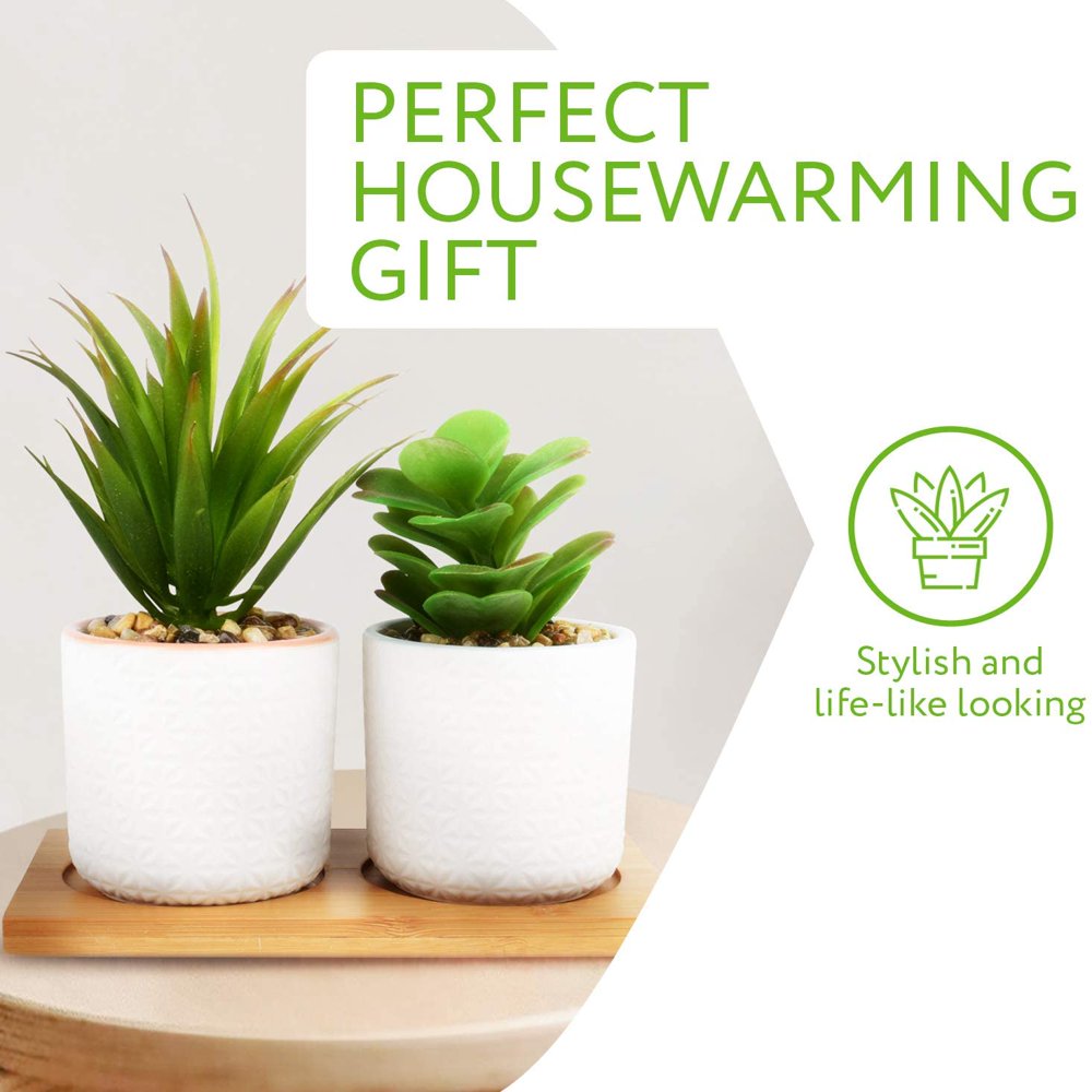 Set of 2 Artificial Succulent Plants, Fake Plants in White Ceramic Pots with Bamboo Tray, 6.5” Tall