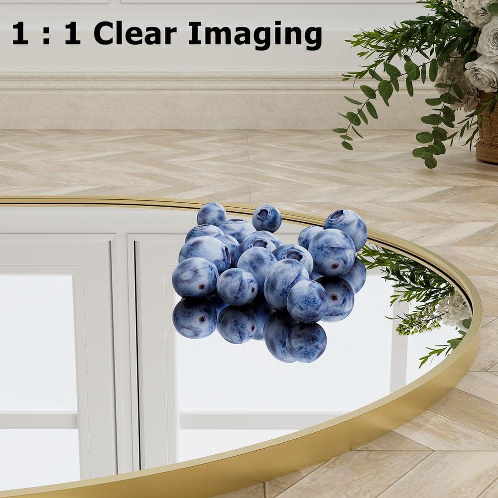 20 In. W X 64 In. H Arched Gold Modern Aluminum Alloy Framed Full Length Mirror Floor Mirror